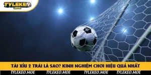Tài xỉu 2 trái là sao? Kinh nghiệm chơi hiệu quả nhất