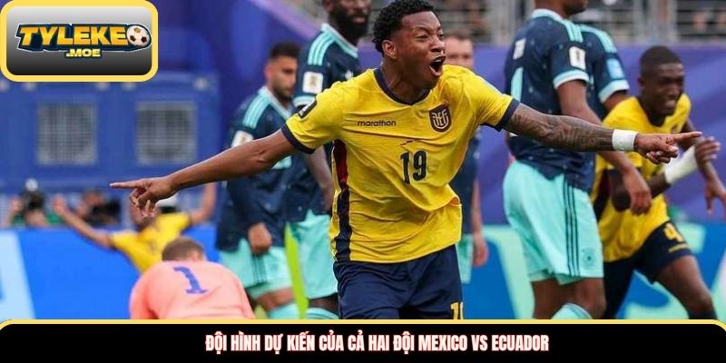 Đội hình dự kiến của cả hai đội Mexico vs Ecuador