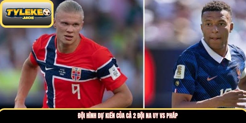 Đội hình dự kiến của cả 2 đội Na Uy vs Pháp