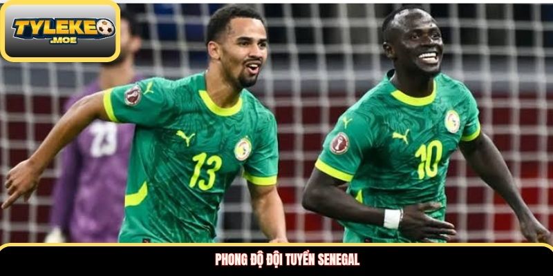 Phong độ đội tuyển Senegal