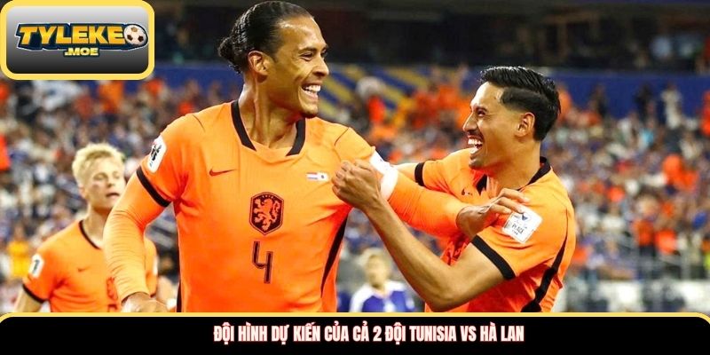 Đội hình dự kiến của cả 2 đội Tunisia vs Hà Lan