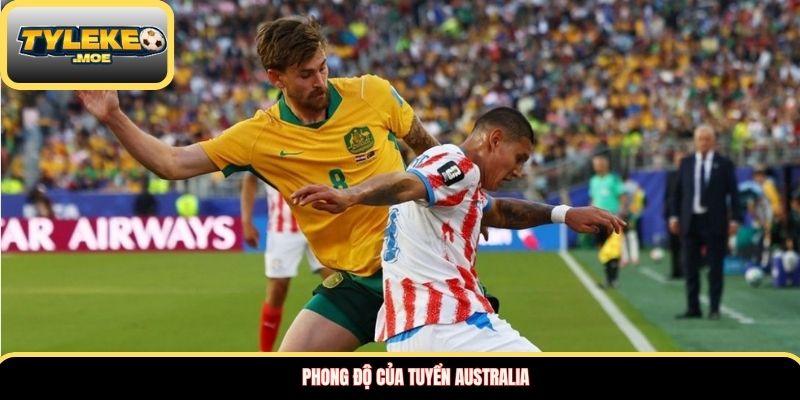 Phong độ của tuyển Australia