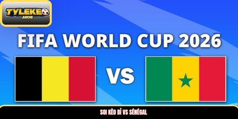 Soi kèo Bỉ vs Sénégal