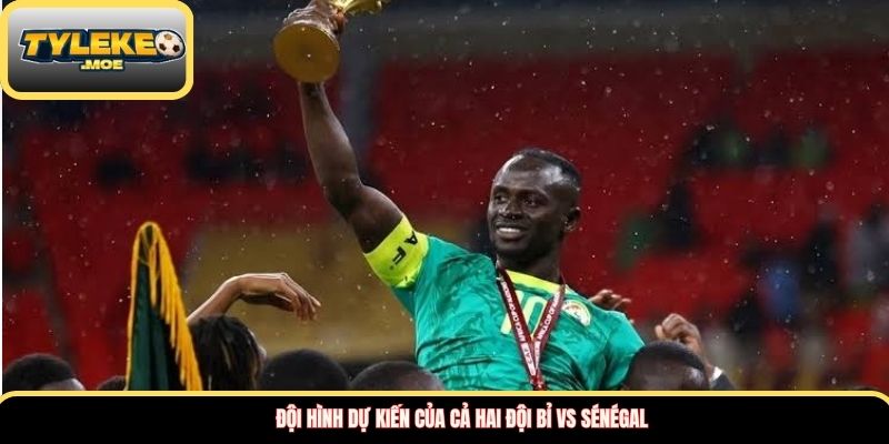 Đội hình dự kiến của cả hai đội Bỉ vs Sénégal