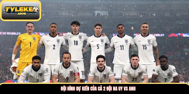 Đội hình dự kiến của cả 2 đội Na Uy vs Anh